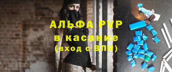 сатива Алзамай