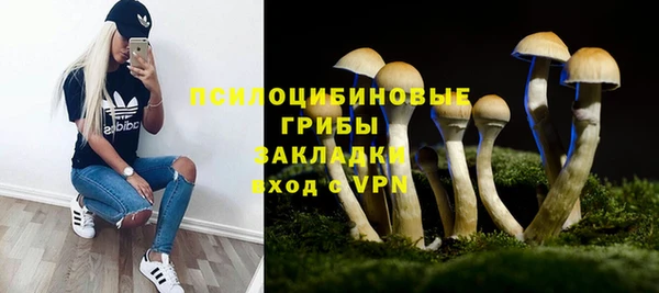 спиды Алексин