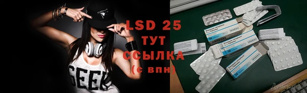 сатива Алзамай