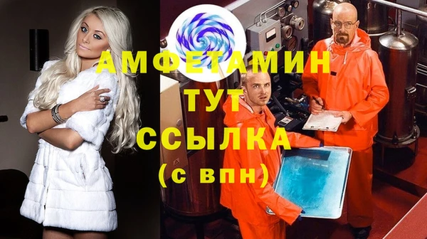 сатива Алзамай