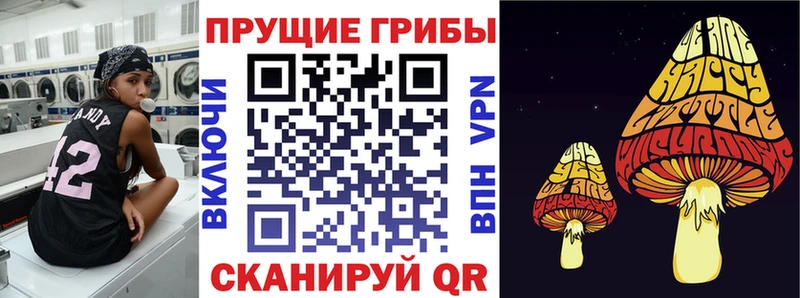 Галлюциногенные грибы MAGIC MUSHROOMS  цена   darknet какой сайт  Сураж 